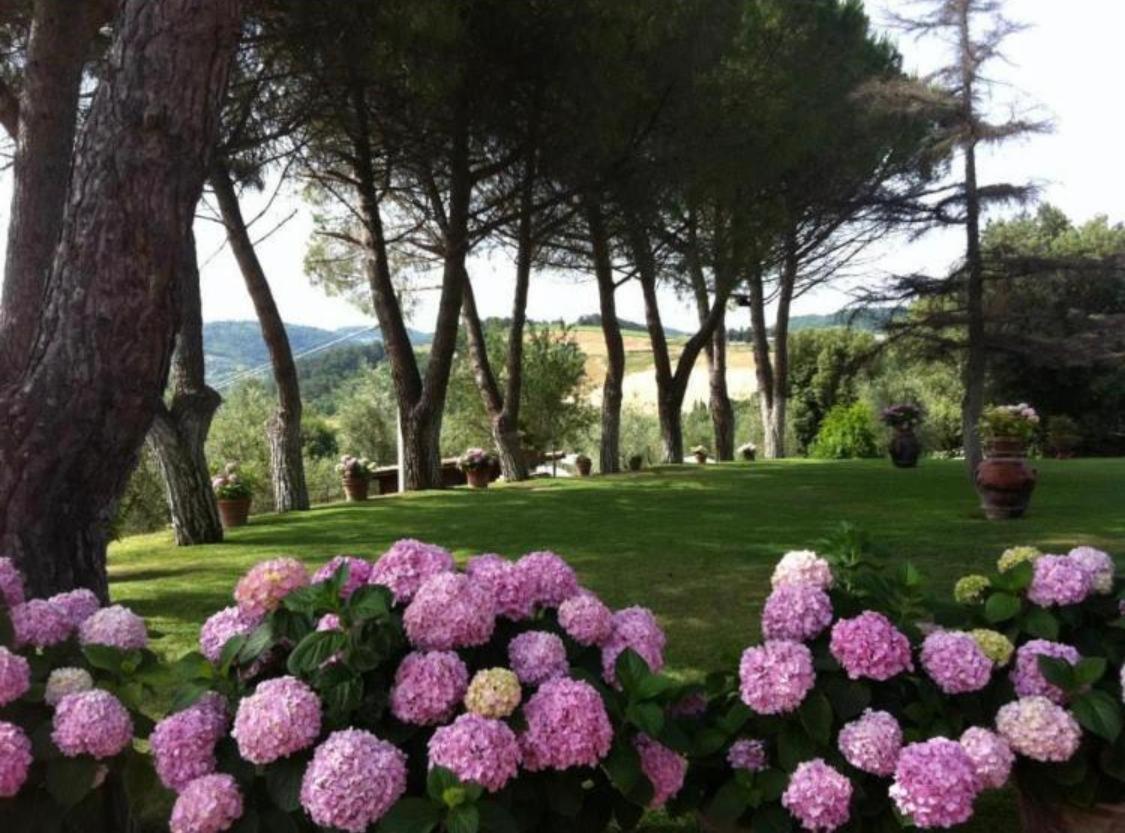Agriturismo Le Querciole Casciana Terme Eksteriør billede